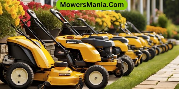 Purchase Cub Cadet Lawn Mowers