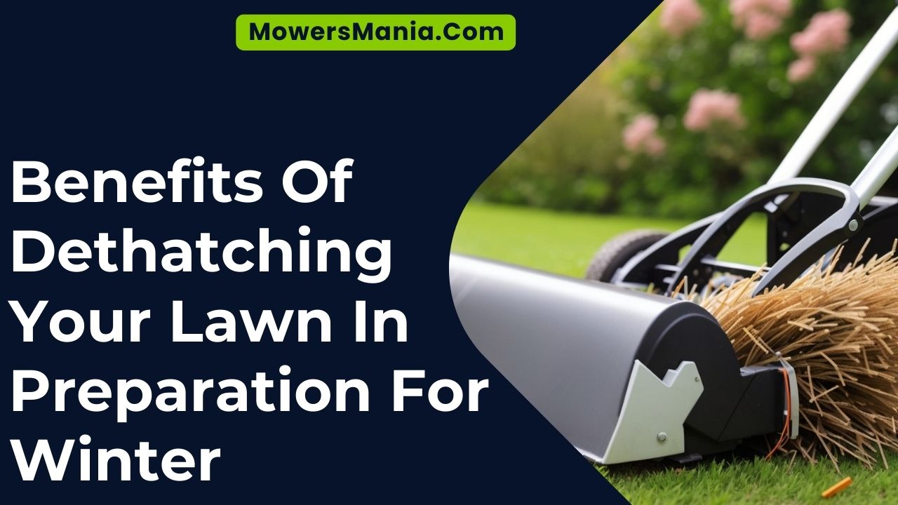 Benefits Of Dethatching Your Lawn In Preparation For Winter