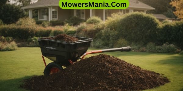 Caring for Your Lawn After Application