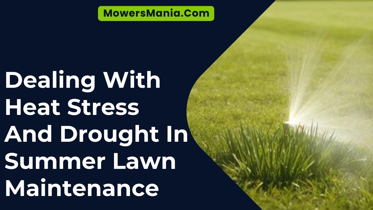 Dealing With Heat Stress And Drought In Summer Lawn Maintenance