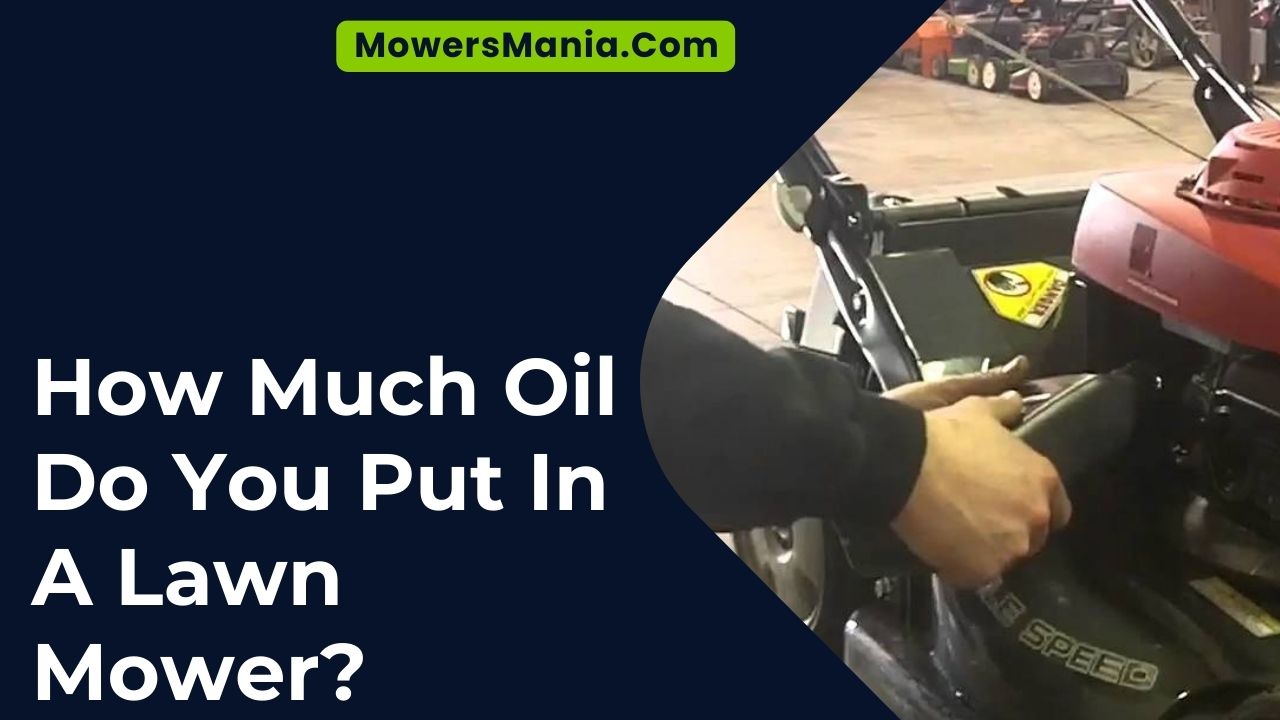 How Much Oil Do You Put In A Lawn Mower