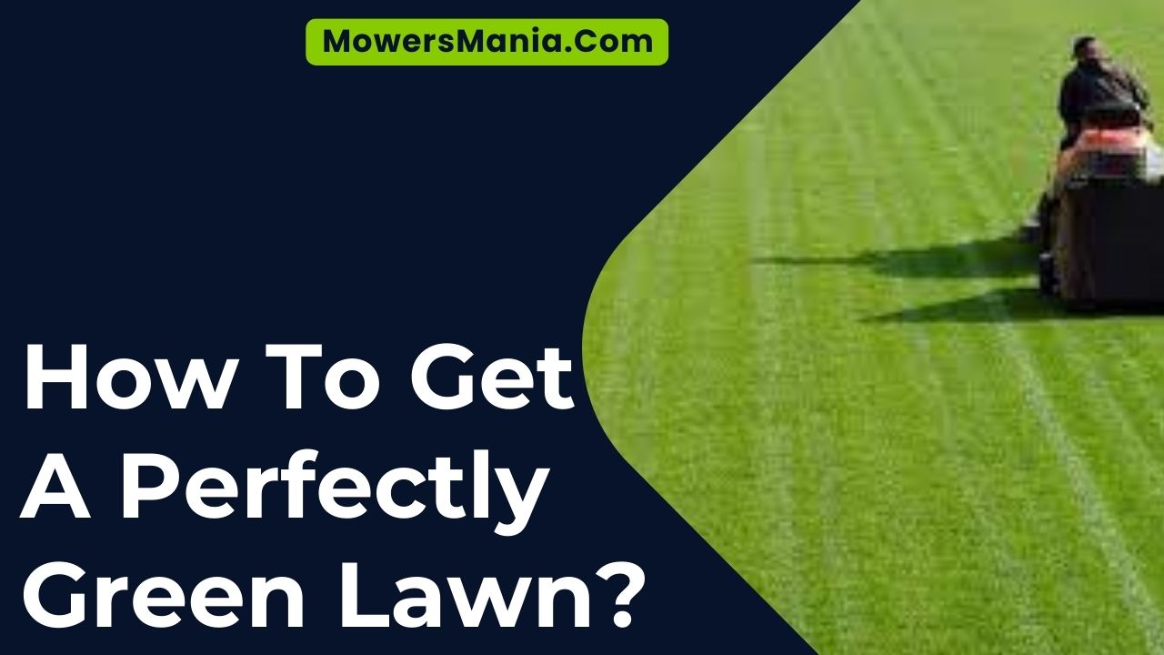 How To Get A Perfectly Green Lawn