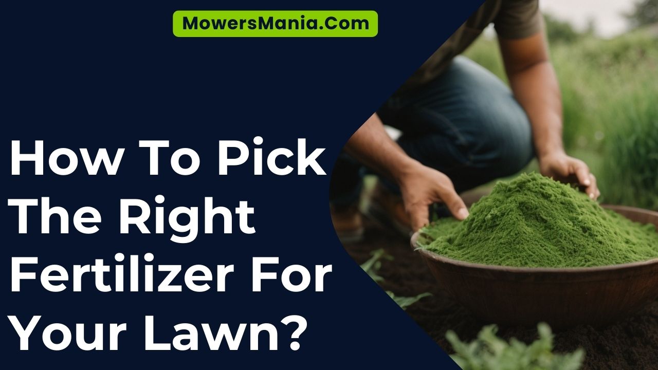 How To Pick The Right Fertilizer For Your Lawn