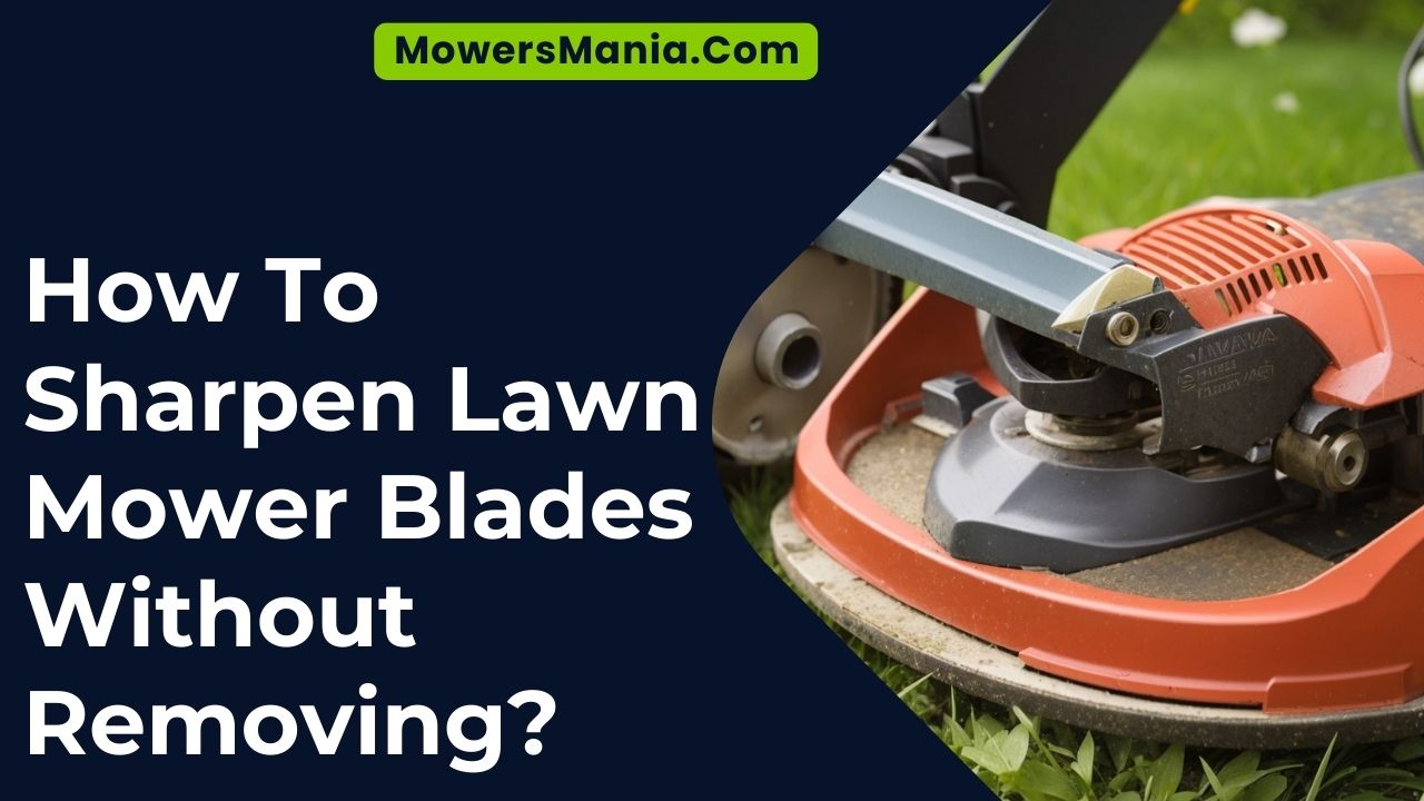 How To Sharpen Lawn Mower Blades Without Removing