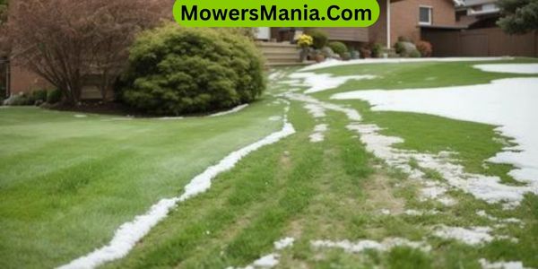 How to Repair Winter Damage To Your Lawn