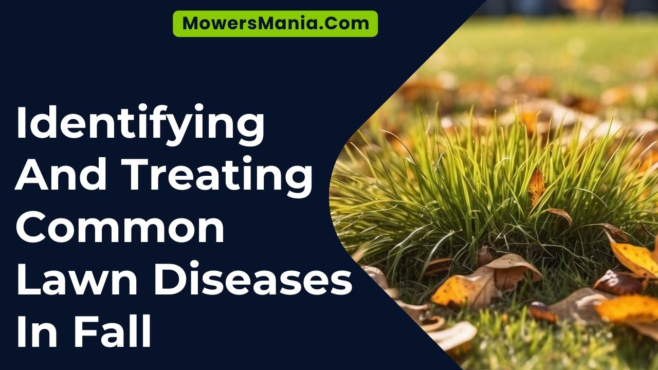Identifying And Treating Common Lawn Diseases In Fall