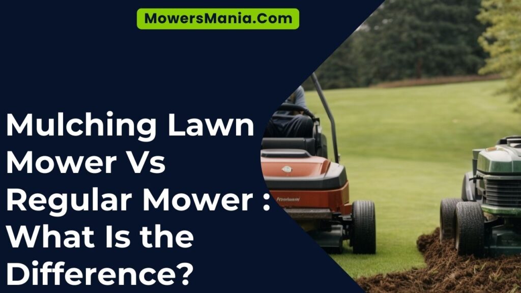 Mulching Lawn Mower Vs Regular Mower What Is the Difference