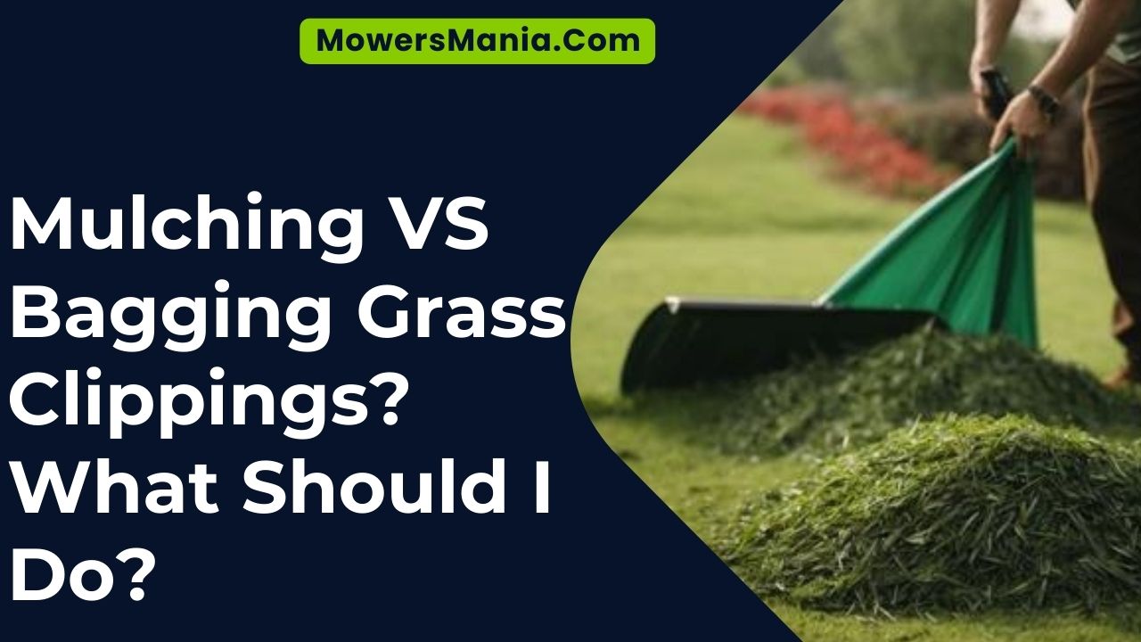 Mulching VS Bagging Grass Clippings