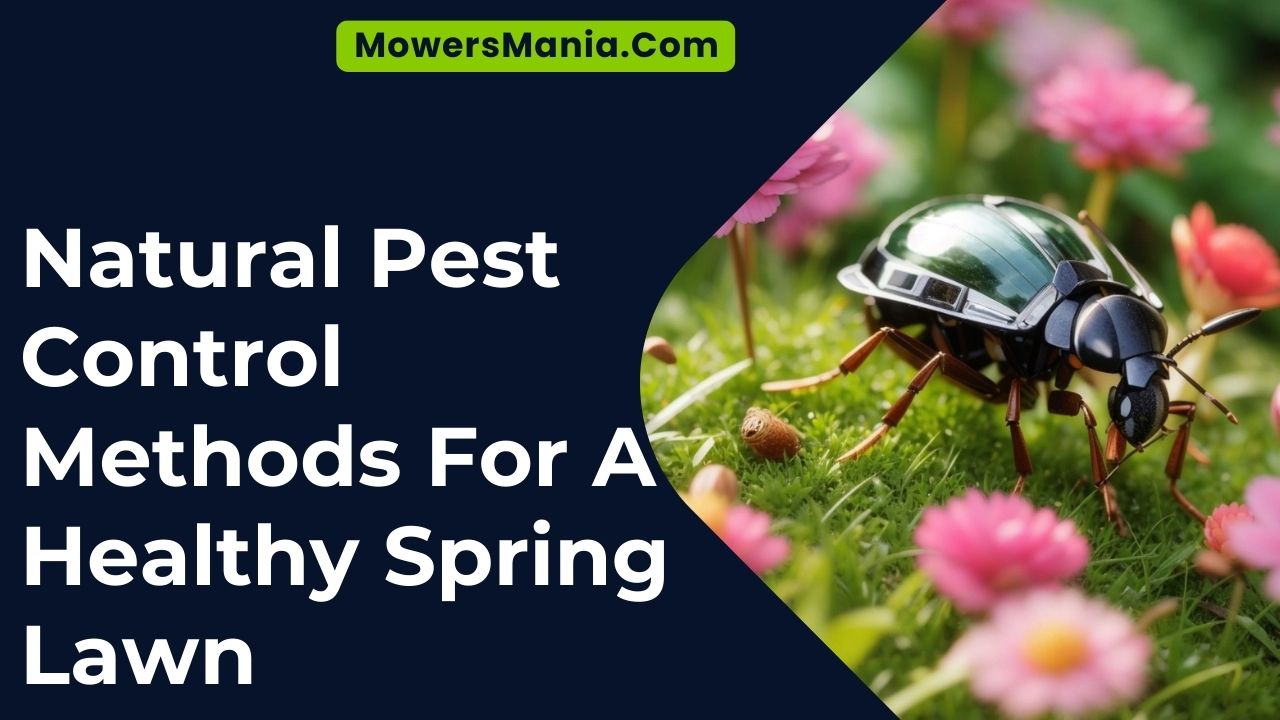 Natural Pest Control Methods For A Healthy Spring Lawn
