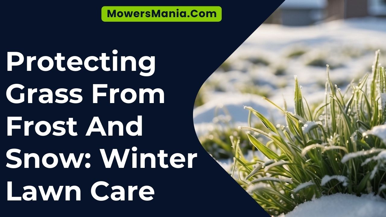 Protecting Grass From Frost And Snow Winter Lawn Care