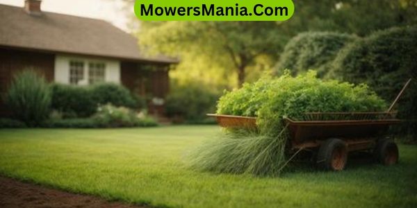 Tips for Maintaining a Healthy Lawn