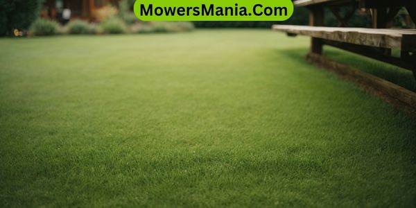 Top Dressing Application Tips