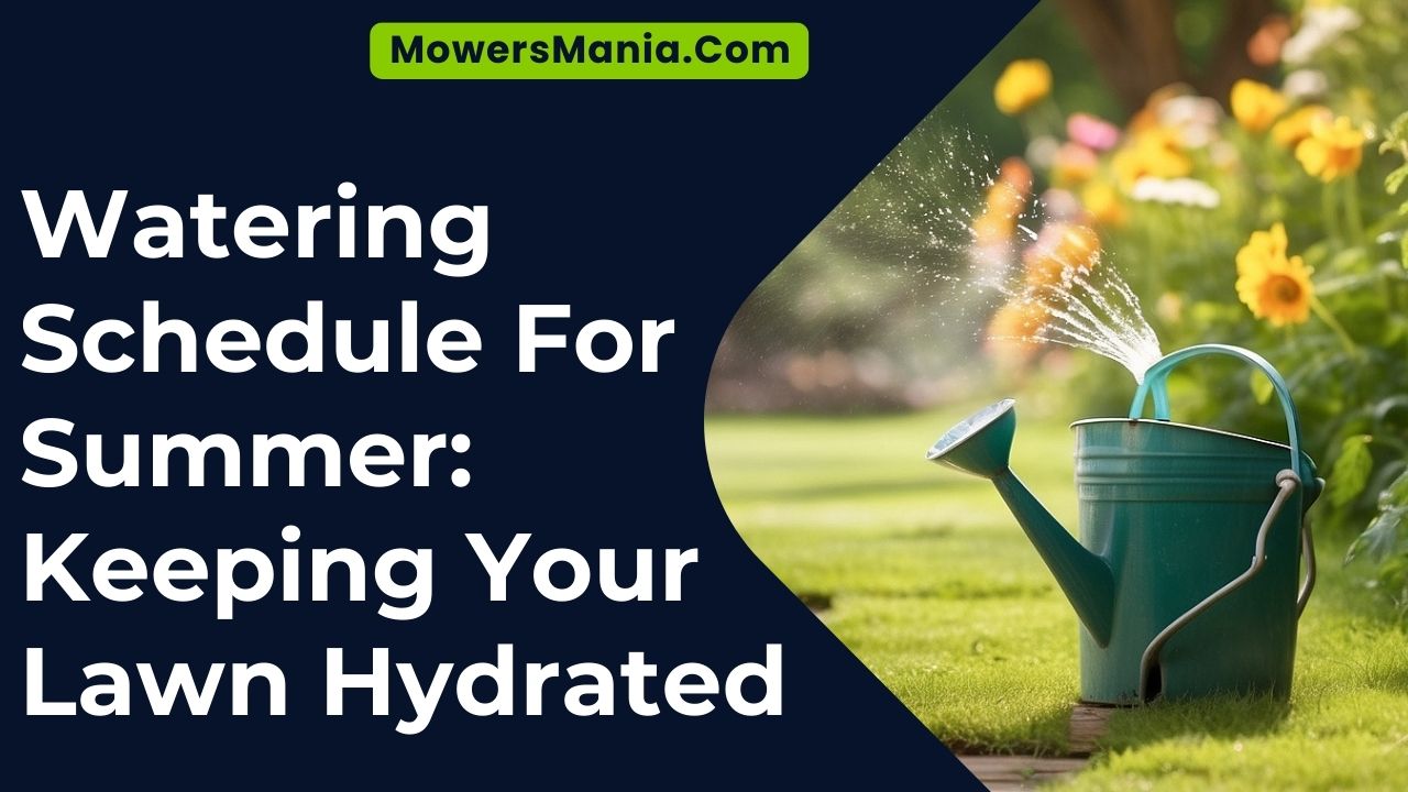 Watering Schedule For Summer Keeping Your Lawn Hydrated