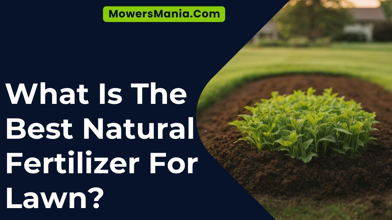 What Is The Best Natural Fertilizer For Lawn