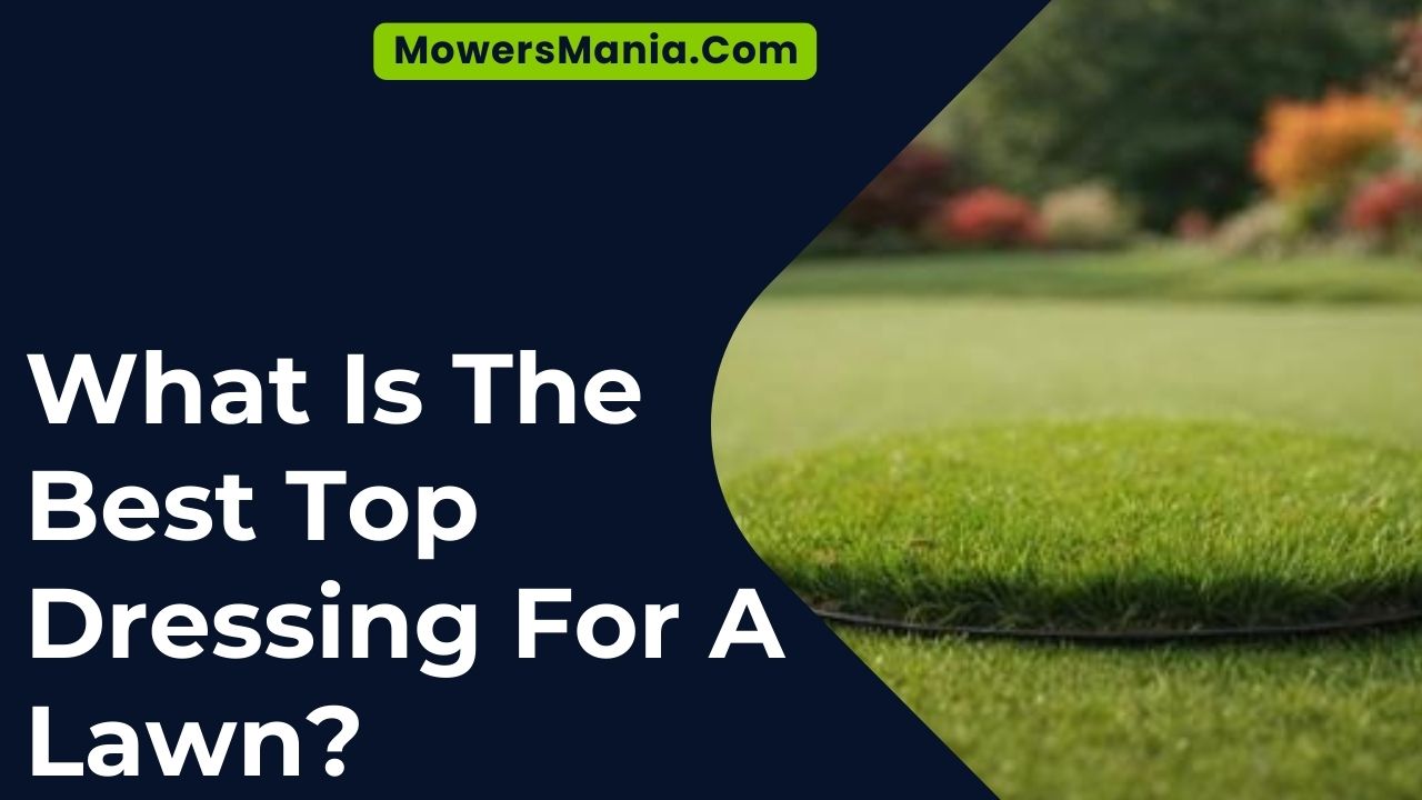 What Is The Best Top Dressing For A Lawn