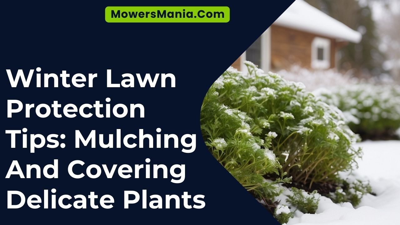 Winter Lawn Protection Tips