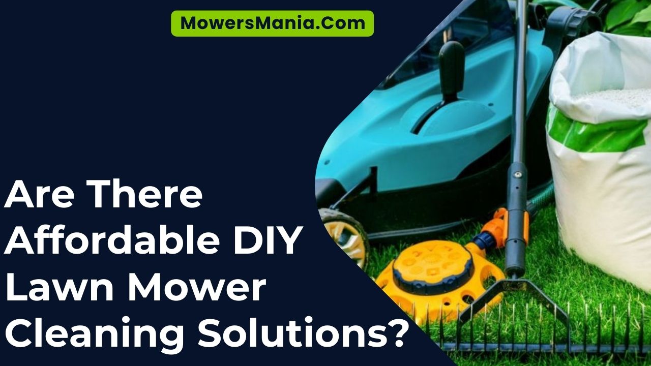 Are There Affordable DIY Lawn Mower Cleaning Solutions
