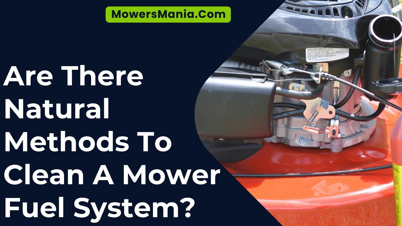Are There Natural Methods To Clean A Mower Fuel System