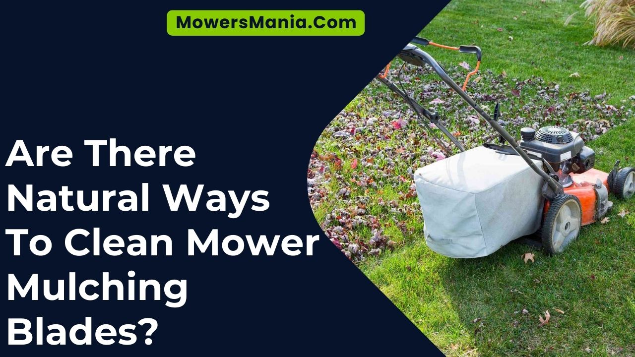 Are There Natural Ways To Clean Mower Mulching Blades