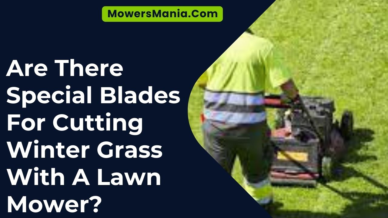 Are There Special Blades For Cutting Winter Grass With A Lawn Mower
