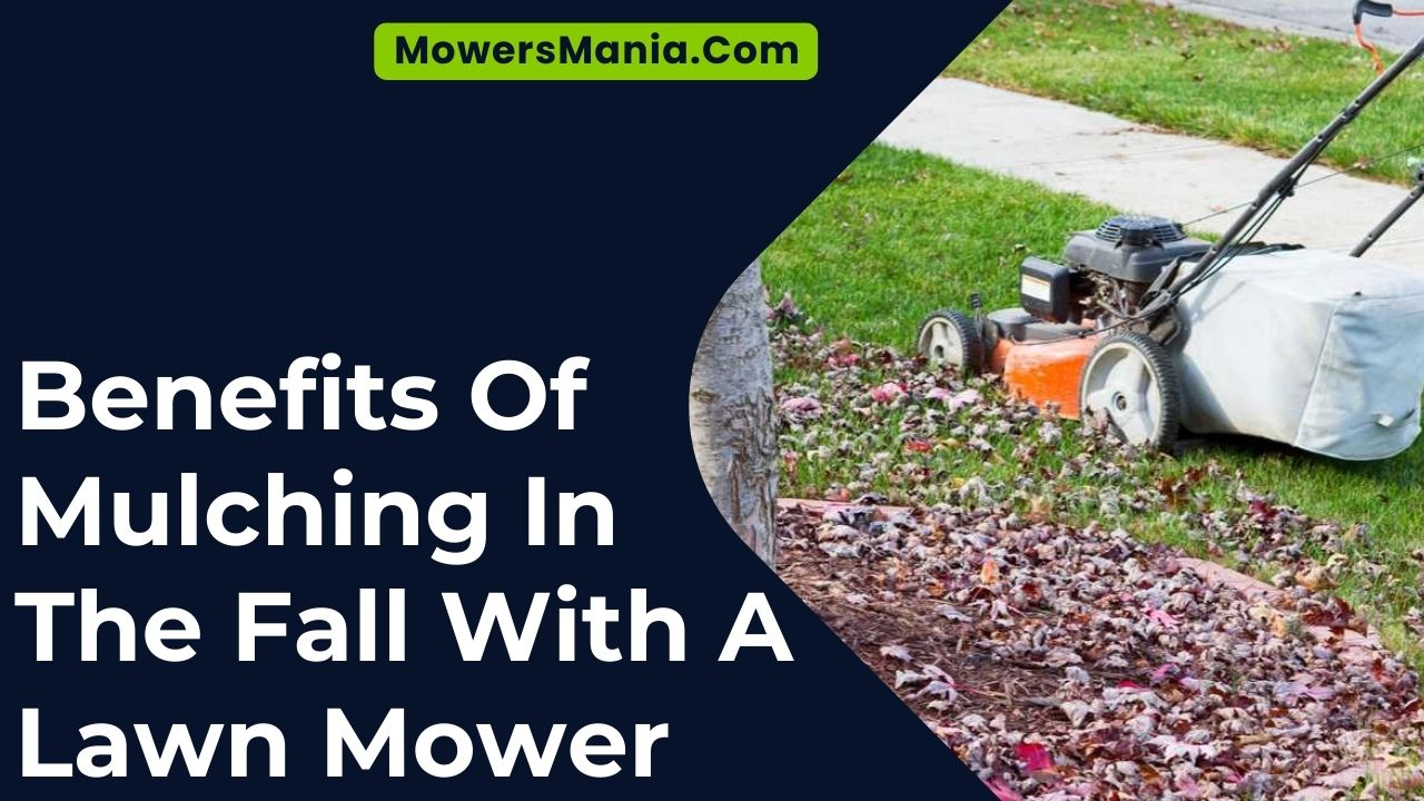 Benefits Of Mulching In The Fall With A Lawn Mower