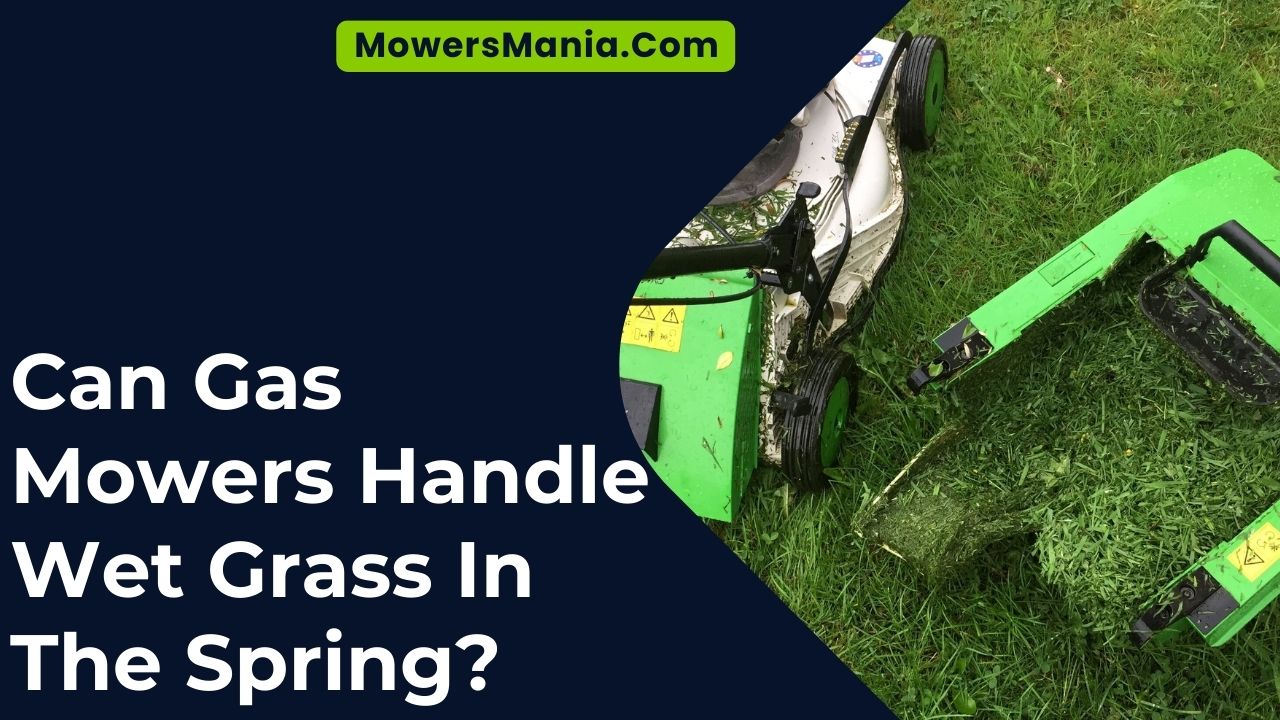 Can Gas Mowers Handle Wet Grass In The Spring