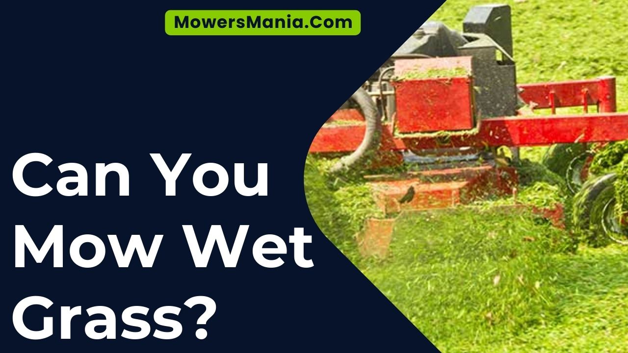 Can You Mow Wet Grass