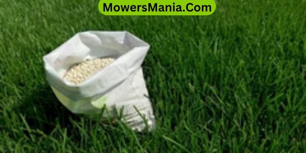 Can winter fertilizers be used in the summer