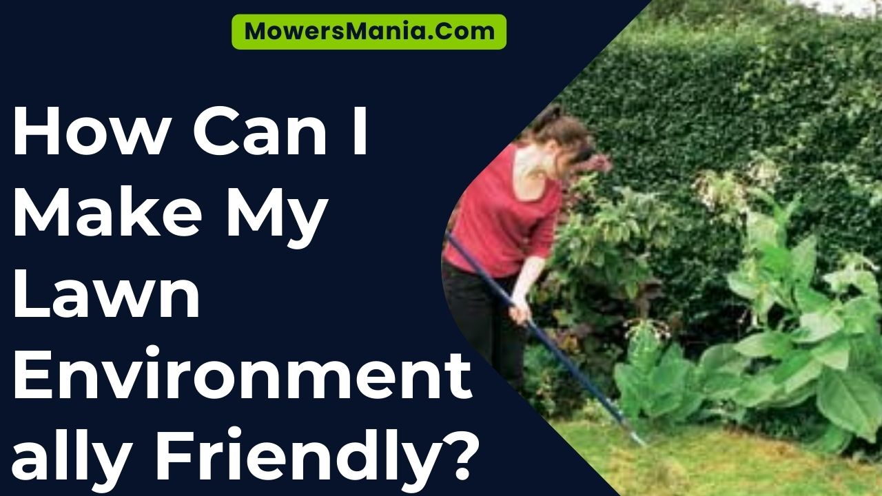 How Can I Make My Lawn Environmentally Friendly