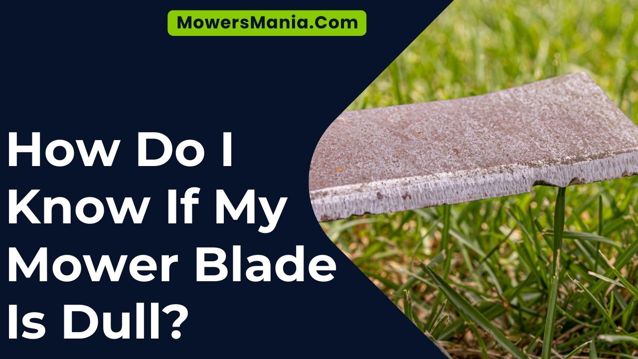 How Do I Know If My Mower Blade Is Dull