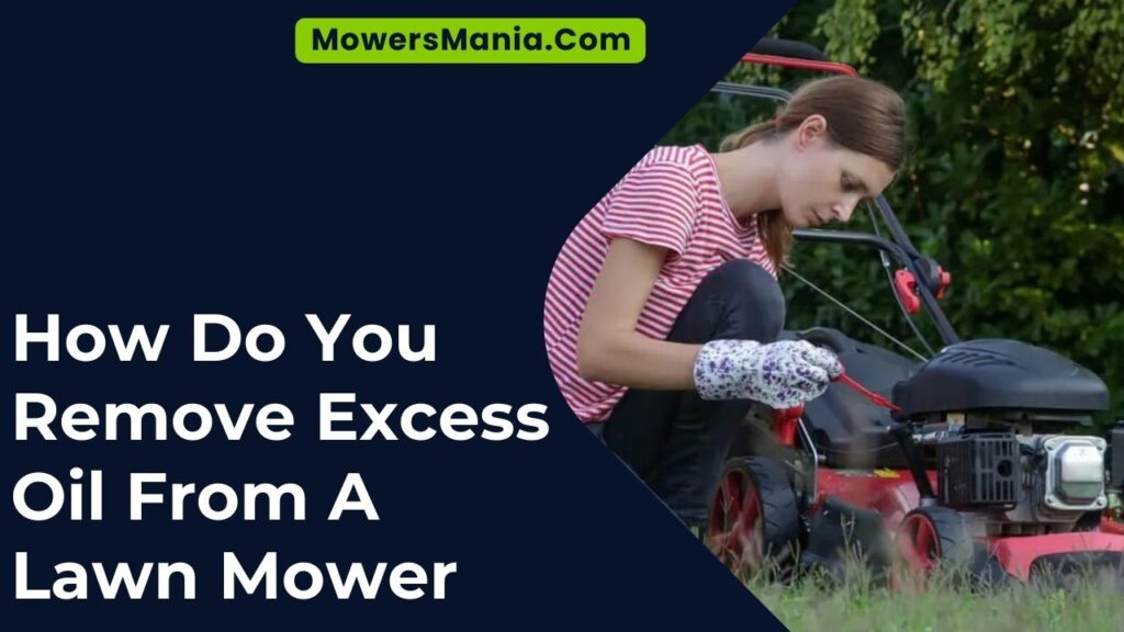 How Do You Remove Excess Oil From A Lawn Mower?