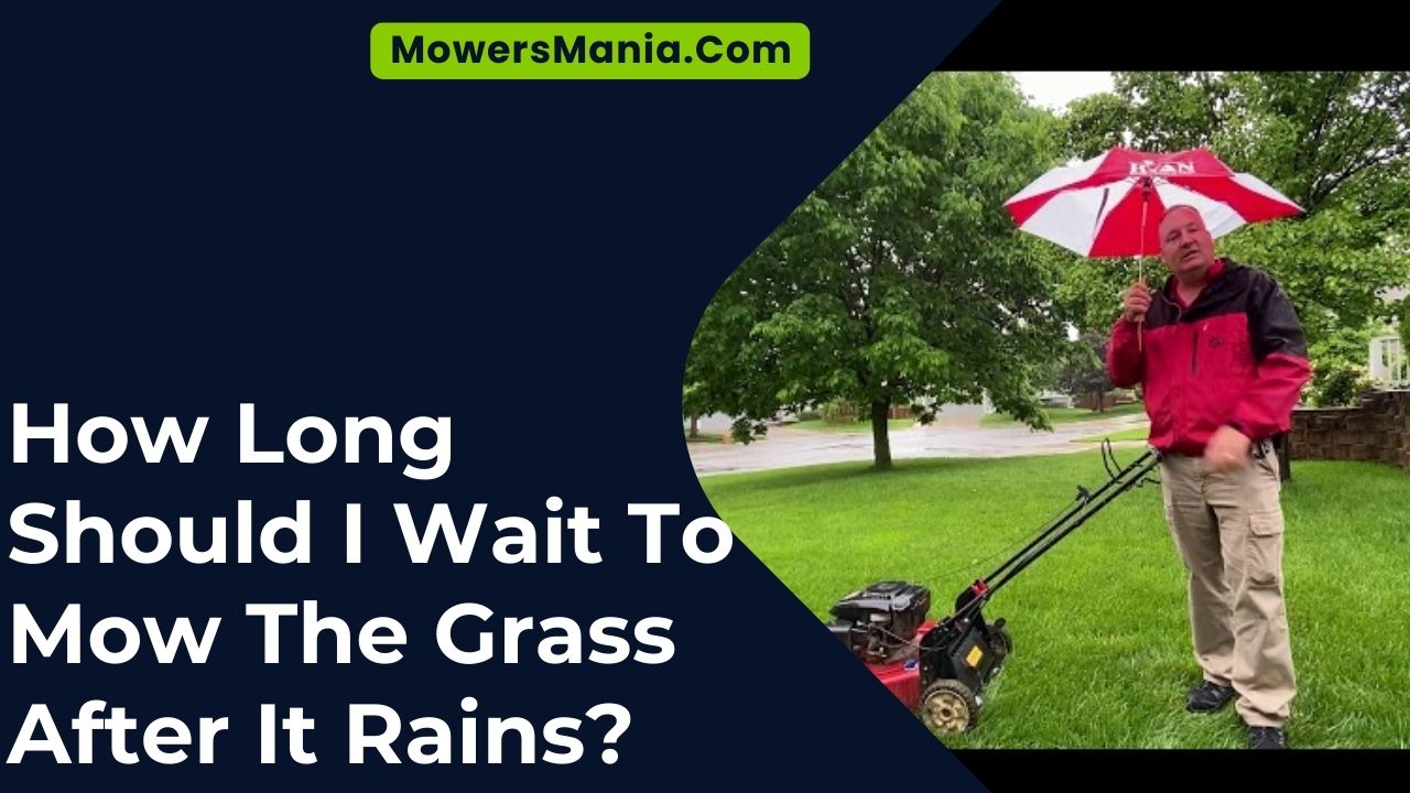 How Long Should I Wait To Mow The Grass After It Rains