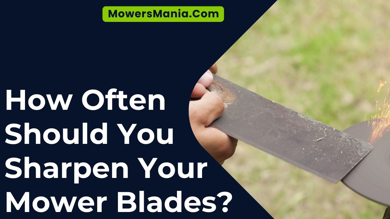 How Often Should You Sharpen Your Mower Blades
