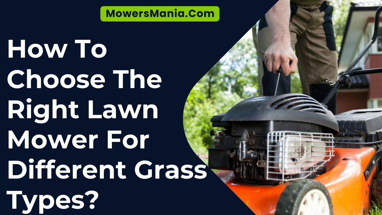 Choose The Right Lawn Mower For Different Grass Types