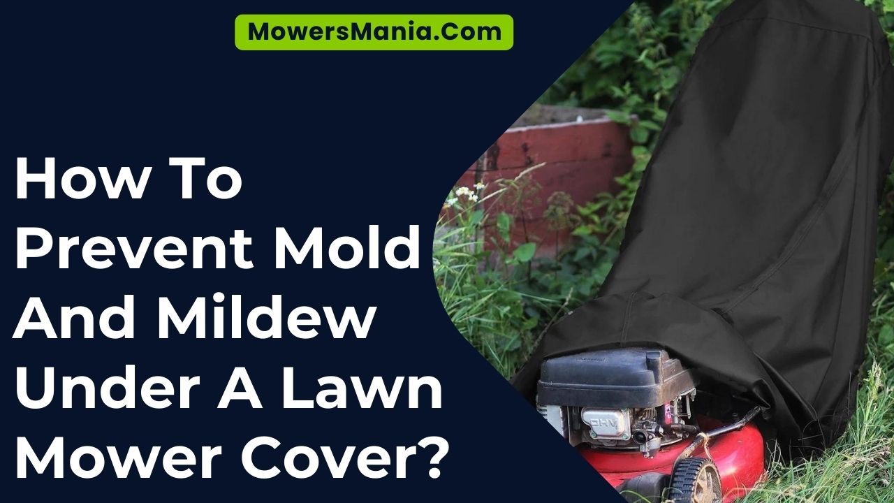 How To Prevent Mold And Mildew Under A Lawn Mower Cover