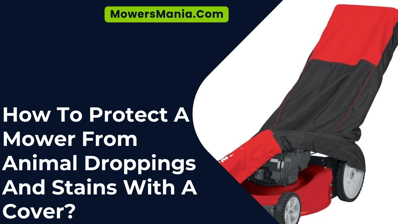 How To Protect A Mower From Animal Droppings And Stains With A Cover