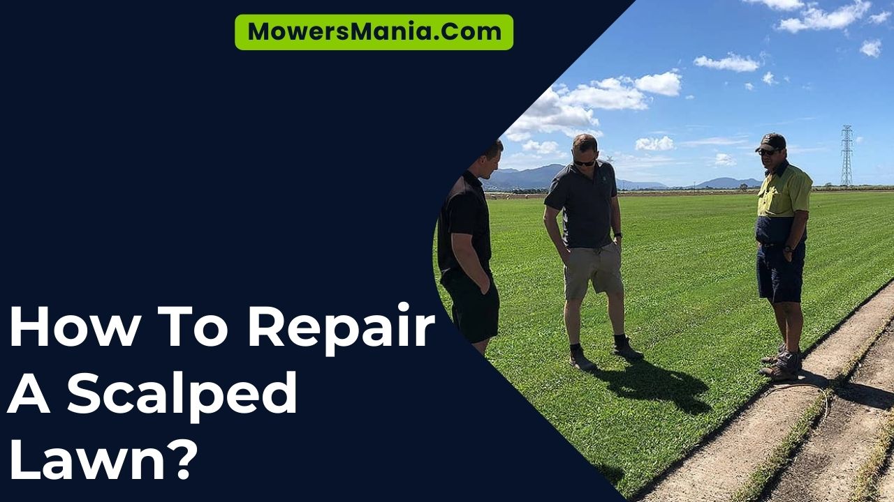How To Repair A Scalped Lawn