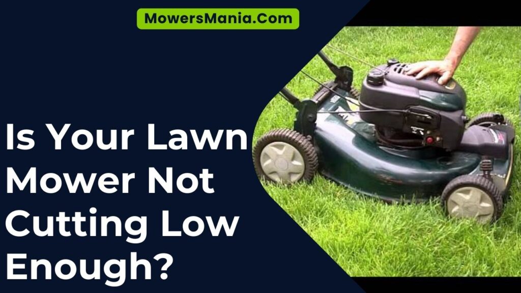 Is Your Lawn Mower Not Cutting Low Enough?