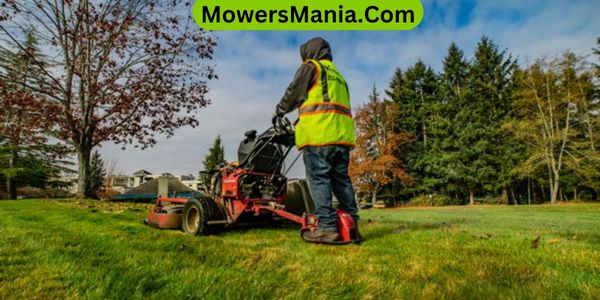 Lawn Maintenance After Leaf Removal