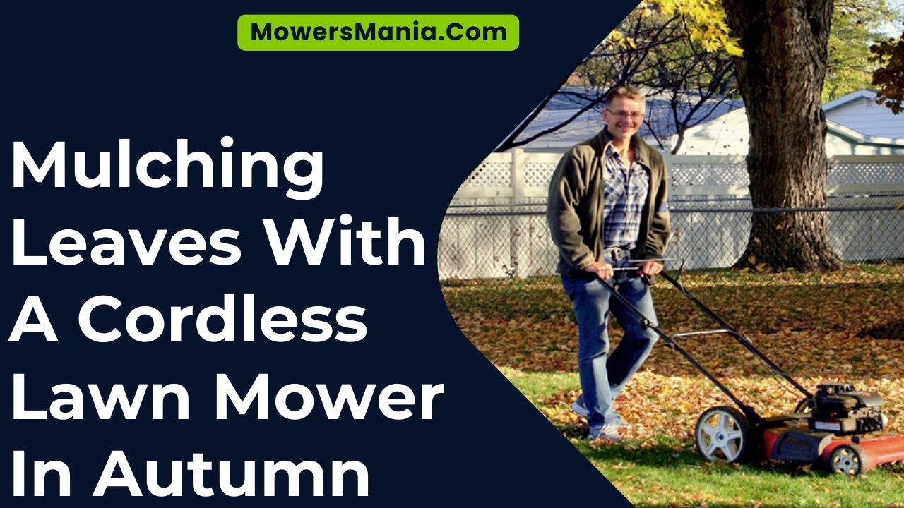 Mulching Leaves With A Cordless Lawn Mower In Autumn