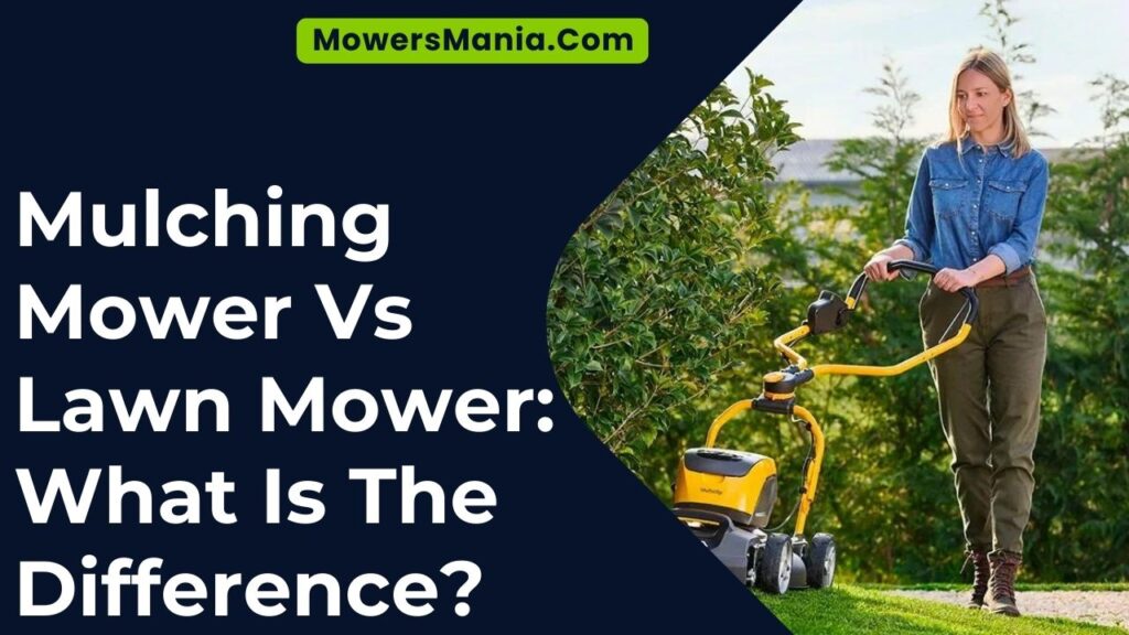 Mulching Mower Vs Lawn Mower What Is The Difference?