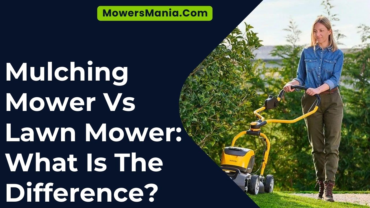 Mulching Mower Vs Lawn Mower