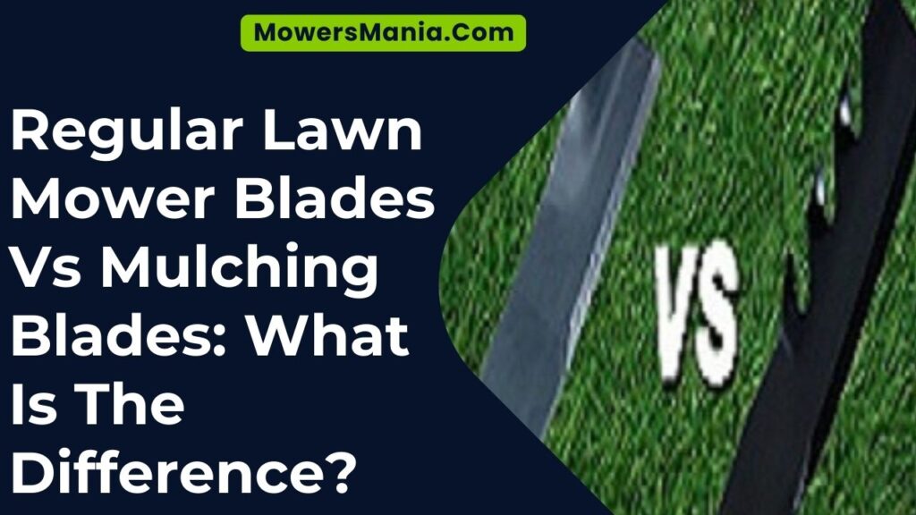 Regular Lawn Mower Blades Vs Mulching Blades What Is The Difference