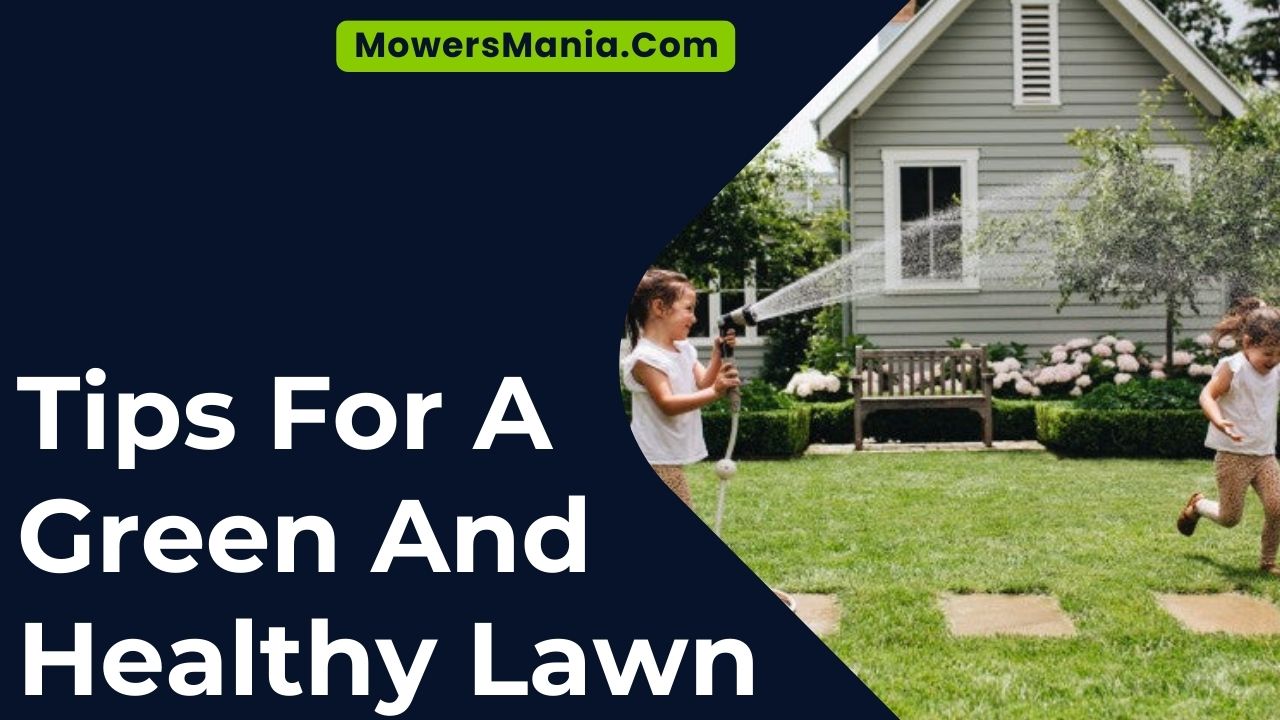 Tips For A Green And Healthy Lawn
