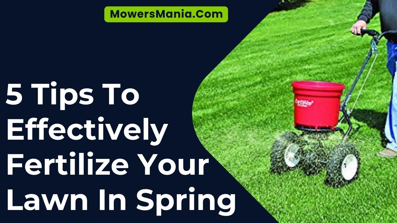 Tips To Effectively Fertilize Your Lawn In Spring