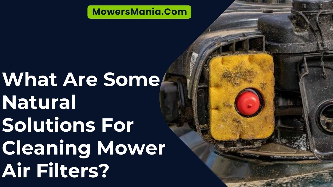 Some Natural Solutions For Cleaning Mower Air Filters