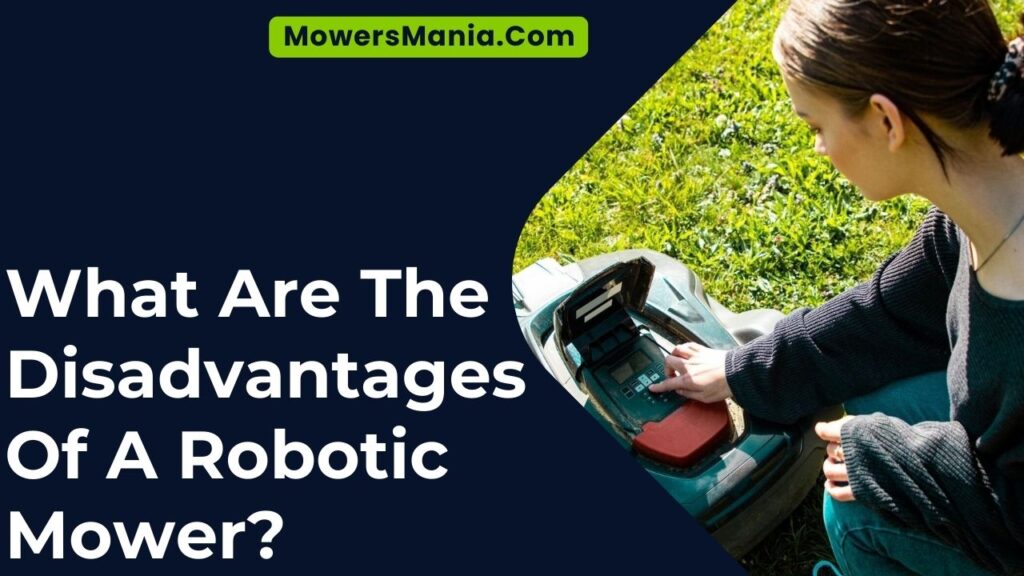 What Are The Disadvantages Of A Robotic Mower?
