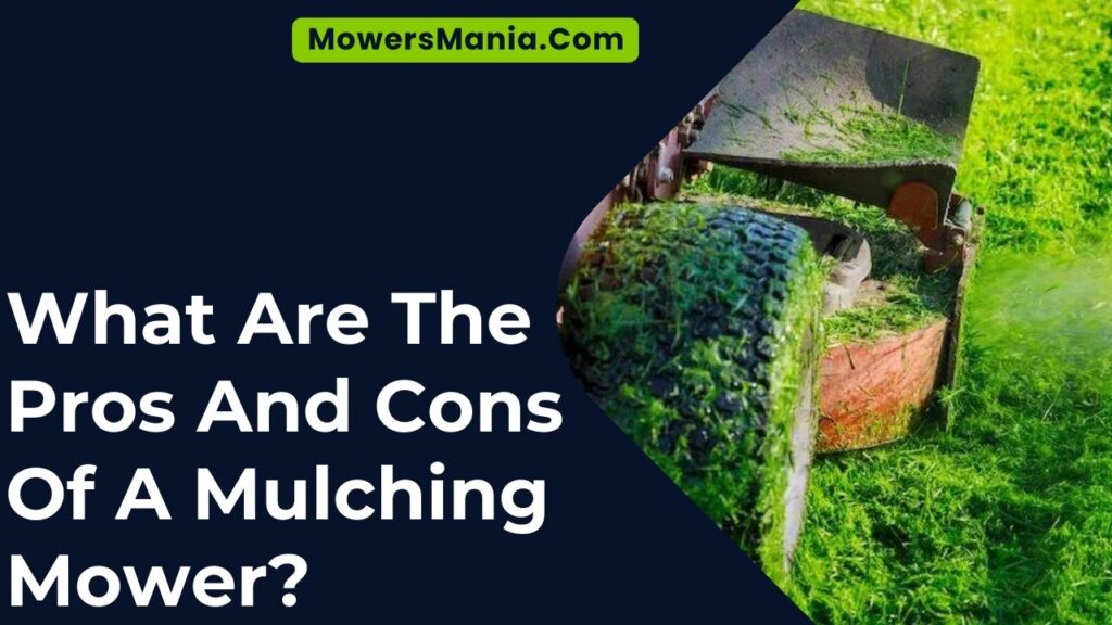 What Are The Pros And Cons Of A Mulching Mower?
