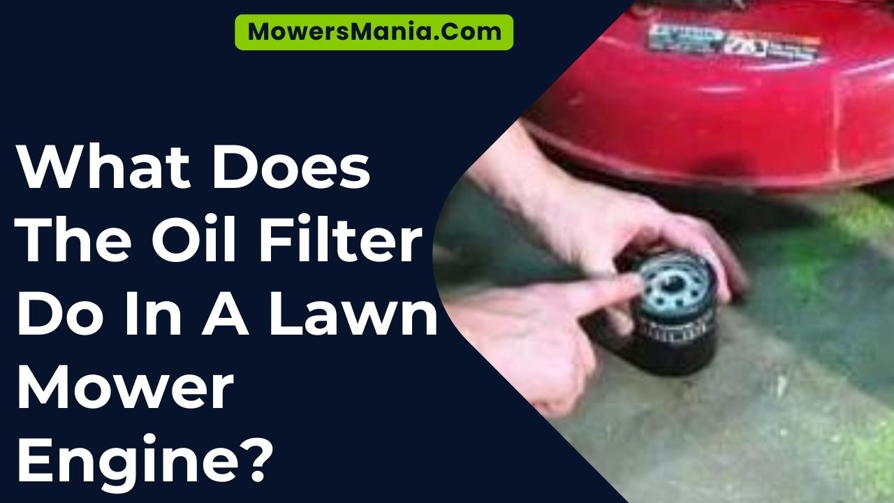 What Does The Oil Filter Do In A Lawn Mower Engine