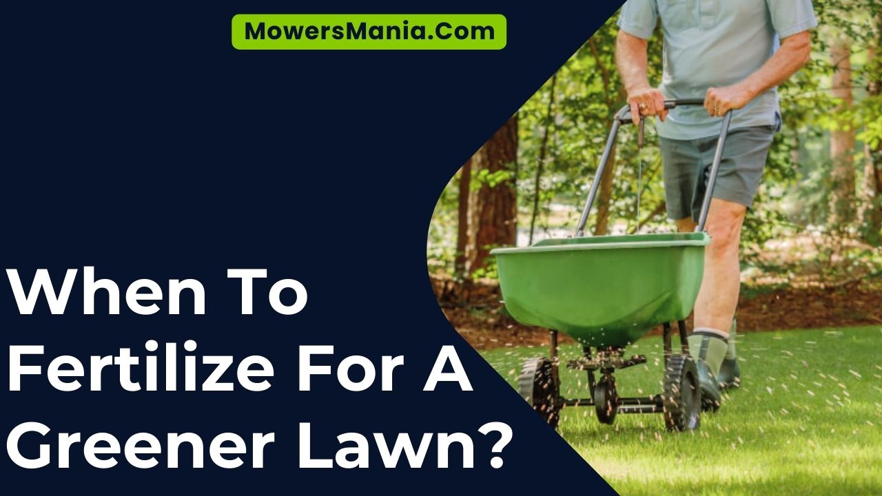 When To Fertilize For A Greener Lawn